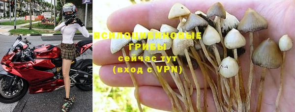 крисы Алексеевка