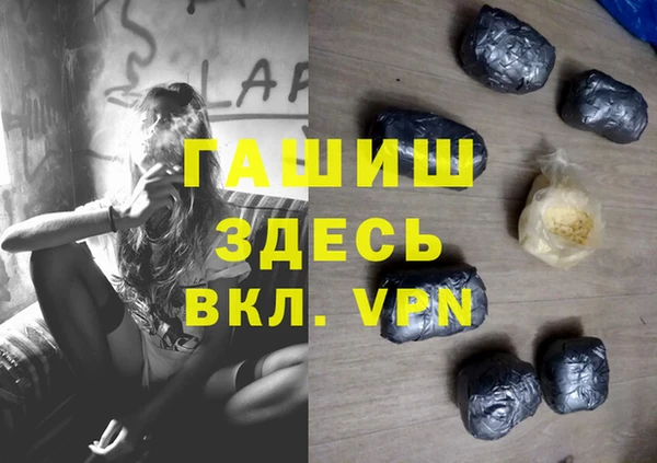 прущие грибы Приозерск