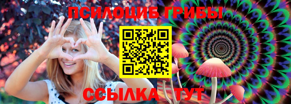 Галлюциногенные грибы Psilocybine cubensis  Вход с VPN  Кириши 